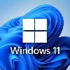 FQC-10528 Microsoft Windows 11 Pro 64Bit Eng Intl 1pk DSP OEI DVD/VERSION 22H2